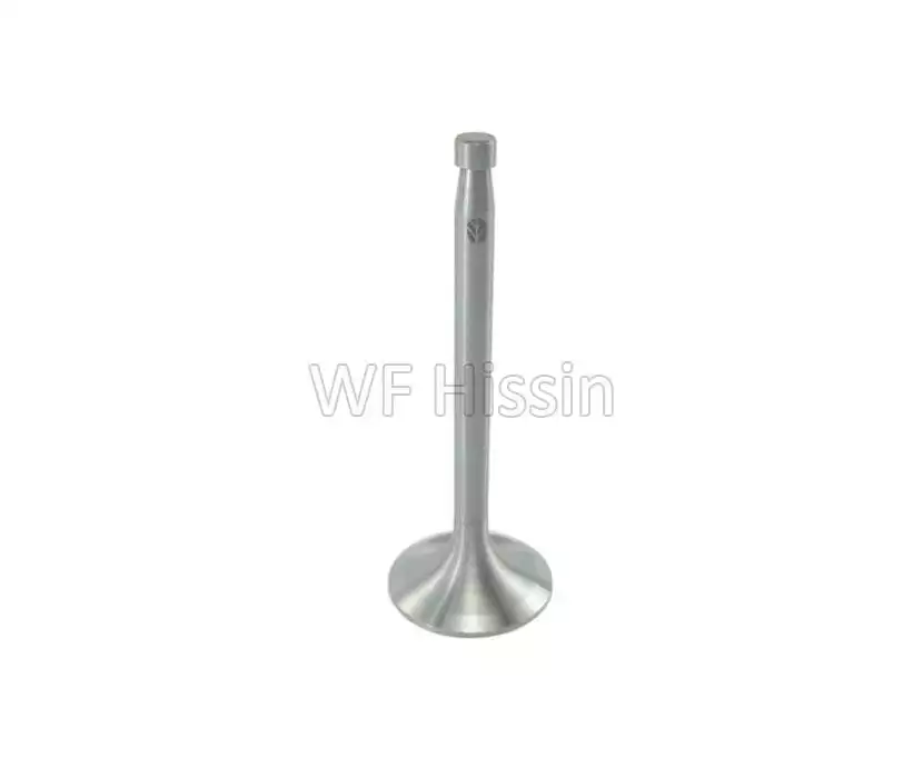 Intake valve New Holland 4100